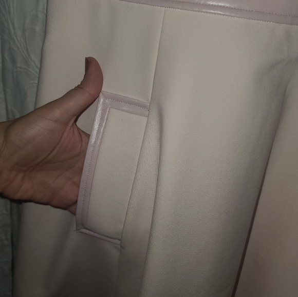 Cynthia Steffe rose mist fit and flare dress az 10 - Picture 5 of 7